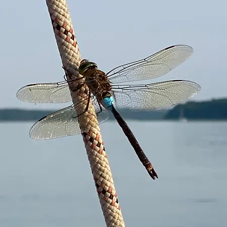 An Der Saarow Therme باد سارو